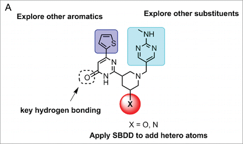 Figure 6. SAR plan to discover more potent analogs of ribocil.