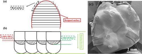 Figure 4. Deterioration on surface quality. (a) Scheme of ‘ladder effect’, (b) the stepwise contour on the occlusal surface of the printed crown, (c) remnant of support structure on the occlusal surface.