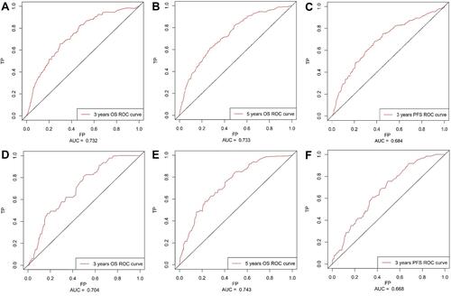 Figure 4 ROC curve for nomograms of OS and PFS.