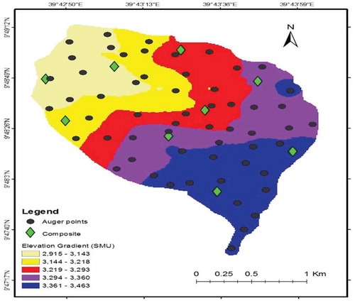 Figure 5. Soil sample points at each stratum.