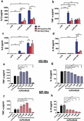 Figure 5. Monocyte secretion of free inflammatory cytokines before and after RUX therapy or in vitro RUX treatment. Concentrations of crucial cytokines (IL1β, TNF-α, IL6, IL10) in the supernatants of immunomagnetically isolated monocytes from healthy donors (HD; n = 20) and MF patients at baseline ((MF baseline T0; n = 20) and after 6 months of RUX therapy (MF RUX (T6 m); n = 20) in vitro cultured for 4/24 hours in the presence or absence of LPS stimulation. Bars represent the mean concentration of IL1β (a), TNF-α (b), IL6 (c) and IL10 (d) ± S.E.M (Two-way ANOVA test; *p < .05, **p < .01, ***p < .001). “-LPS” represents the concentrations of cytokines after 4 or 24 hours without LPS. Panels (e-h) show the concentrations of crucial cytokines (TNF-α and IL10) in the supernatants of immunomagnetically isolated monocytes from healthy donors (HD; n = 20; panels E, G) and MF patients (n = 20; panels F, H) in vitro cultured for 24 hours in the presence or absence of LPS stimulation and titrating doses of RUX (0.2–10 µM). Bars represent the mean concentration of TNF-α and IL10 ± S.E.M (one-way ANOVA test; *p < .05, **p < .01, ***p < .001).