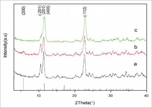 Figure 1. XRD pattern of calcium citrate precipitated at different volume ratio of alcohol: water: (A) 1:2, (B) 1:1, (C) 2:1.