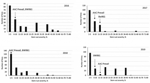 Fig. 1 Frequency distribution of stem rust severity in the ‘AAC Prevail’/’BW961ʹ doubled haploid population evaluated for the Ug99 and other stem rust races at Njoro experimental station, Kenya for each year from 2016 to 2019. Dark arrows indicate the stem rust response of the parents ‘AAC Prevail’ and ‘BW961ʹ