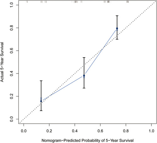 Figure 6 The calibration plot for 5-year survival of elderly EC patients. The X-axis presents the predicted probability and the Y-axis shows the actual probability.