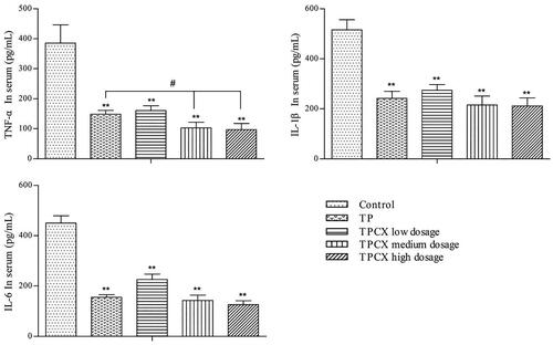 Figure 5. Levels of TNF-α, IL-1β, and IL-6 in the serum of AA rats after treatments, **p< .01 vs. control, #p<.05 vs. TP, triptolide (TP), triptolide phospholipid complex (TPCX).