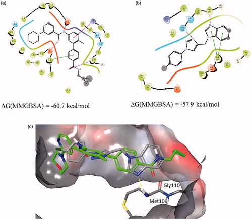 Figure 6. Binding interactions of (a) 3D83 X-ray structure, (b) 12b docked into 3D83 protein structure, and (c) structures from a and b superimposed within the active site pocket (green-3D83 ligand).