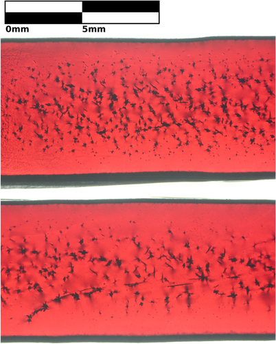Figure 4. Transmission microscopy image of two sections of sample D that were grown with different counter-rotation rates of feed and support rods. Top: 70 RPM per rod. Bottom: 7 RPM per rod. The counter-rotation rate changes the size, number, and distribution of CuO inclusions, which are small, dark spots.