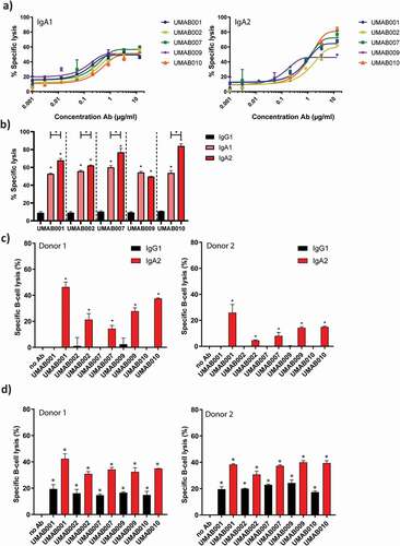 Figure 2. ADCC by a panel of CD20 antibodies of the IgA1, IgA2 and IgG1 isotype. (a) PMN-mediated ADCC against Ramos cells by IgA CD20 antibodies at several antibody concentrations. After 4 h at 37°C,51-Cr-release was measured to assess specific lysis. PMN were added to tumor cells at an ET ratio of 40:1. One representative graph is shown for at least n = 3 independent experiments. (b) Maximal lysis achieved by antibodies in A. Asterisks indicate statistically significant differences between IgG1 and IgA antibodies. Capped lines with asterisks indicate a statistically significant difference between IgA1 and IgA2 antibodies. (c) ADCC assays against healthy B cells with autologous PMN as effector cells. Antibodies were added to tumor cells at 5 µg/ml. PMN were added to tumor cells at an ET ratio of 40:1. After 4 h at 37°C,51-Cr-release was measured to assess specific lysis. Results of two different donors are shown (left and right panel). Asterisks indicate a significant difference to the no Ab control. (d) B-CLL ADCC assays with allogenic PMN as effector cells. Results of two different PMN donors are shown (left and right panel). After 4 h at 37°C,51-Cr-release was measured to assess specific lysis. Antibodies were added to tumor cells at 4 µg/ml. PMN were added at an E:T ratio of 40:1. Asterisks indicate statistically significant differences to the no Ab control.