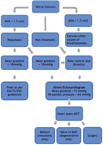 Figure 3. Proposed algorithm for the evaluation and treatment of patients presenting with symptomatic mitral stenosis in circumstances not covered by ESC/EACTS guideline [Citation1].