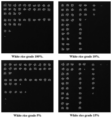 Figure 7. The images of various rice grades in terms of grain quantity were used for testing the selected model.