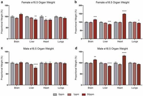 Figure 3. Effects of CdCl2 exposure on organ weights. All weights are normalized to embryonic weight and presented relative to controls. (a, b) Weights of e16.5 (a) and e18.5 (b) female organs. (c, d) Weights of e16.5 (c) and e18.5 (d) male organs. Data are presented as means ± SE. One-way ANOVA with Dunnett’s post-hoc test comparing 50 ppm and 1 ppm to 0 ppm. <p < 0.05, **p < 0.01, ***p < 0.001, ****p < 0.0001.