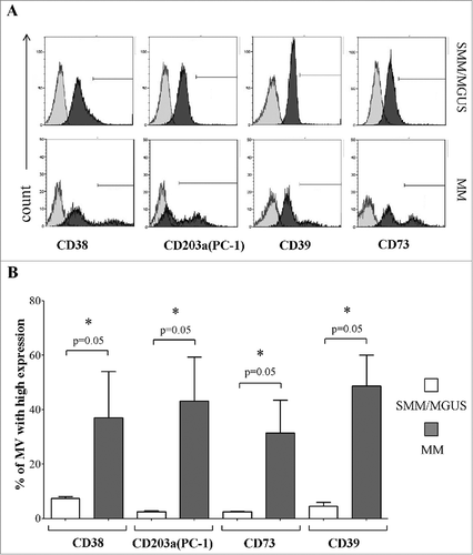 Figure 4. Expression of different ectoenzymes in MVs obtained from fresh BM samples. Panel A shows a representative experiment performed in fresh BM samples obtained from MM patients and controls (MGUS/SMM), where grey profiles indicated MVs stained with irrelevant isotype-matched mAbs and black profiles indicated MVs stained with specific mAbs. Panel B shows results obtained from MM patients (n = 4) and controls (MGUS/SMM, n = 4). p values are indicated when differences are statistically significant.