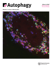 Cover image for Autophagy, Volume 11, Issue 2, 2015