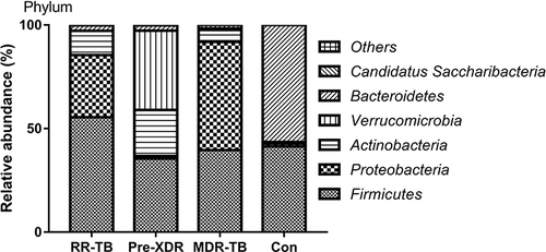 Figure 3 Distribution of gut microbiome in different subjects at the phylum level.