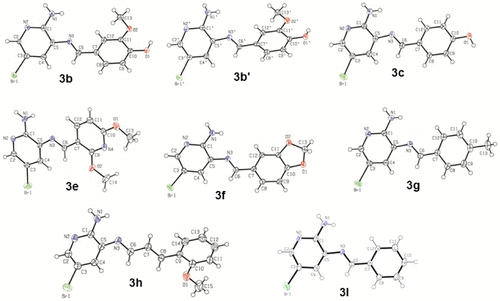 Figure 3. ORTEP plots of compounds 3b, 3b′, 3c, 3e, 3f, 3g, 3h, and 3l.
