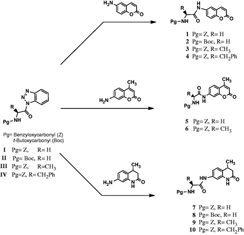 Scheme 1. Synthesis pathways of the new coumarin and quinolinone conjugates of N-protected amino acids.