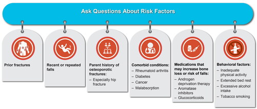 Figure 2. Questions to ask during routine clinic visits to identify patients with or at risk for osteoporosis and osteoporotic fractures.