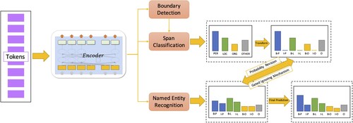 Figure 2. The MTBR framework structure. Due to space limitation, [B-P, I-P, B-L, I-L, B-O, I-O, O] in the figure represents [B-PER, I-PER, B-LOC, I-LOC, B-ORG, I-ORG, OTHER].