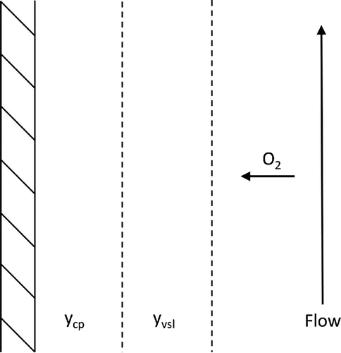 Figure 3. Sketch of the flow with mass transfer of oxygen to the surface causing the corrosion process.