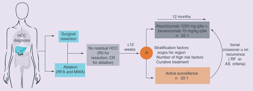 Figure 2. IMbrave 050 study design.Diagnosis of HCC by radiological criteria and/or pathological confirmation.CR: Complete response by imaging; EASL: European Association for the Study of the Liver; HCC: Hepatocellular carcinoma; IRF: Independent review facility; MWA: Microwave ablation; q3w: Every 3 weeks; R0: Absence of microscopic tumor invasion of the resection margin; RFA: Radiofrequency ablation; R: Randomization.