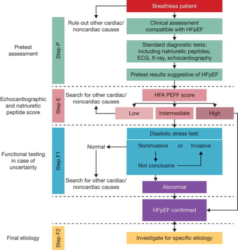 Figure 3. Flowchart of a diagnostic algorithm for diagnosis of HFpEF. ECG: electrocardiogram. [Citation66], by permission of Oxford University Press and the European Society of Cardiology