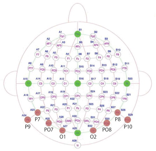 Figure 9. Biosemi Electrodes Layout. 64 + 2 channel Biosemi electrodes layout. The red circles indicate the electrodes used in this study