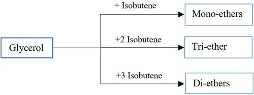 Figure 14. Provision of glycerol ethers from the reaction between glycerol and isobutene with different molar ratios.