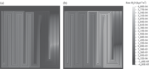 Figure 11. Calculated water flux that is transferred between the 1D MEA model and the 2D domains ((a) anode, (b) cathode). The maximum water flux from the MEA to the cathode corresponds to the liquid water signal at the end of the first meander in the neutron radiography (see Figure 3).