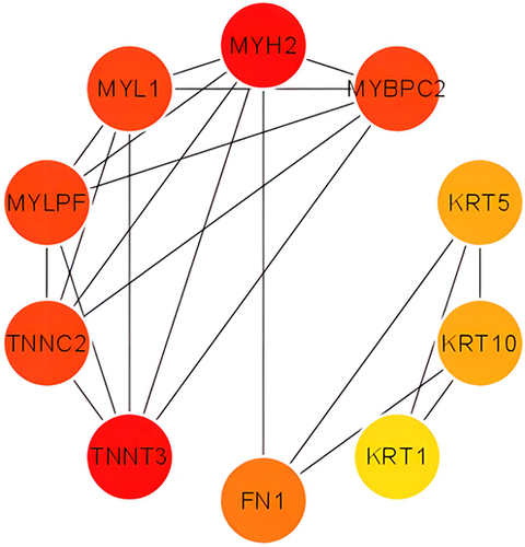 Figure 3 Key network of upregulated DEPs in the severe and mild groups.