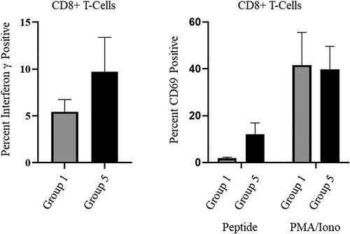 Figure 3. OMN008 vaccination induces functional CD8 T-cells.