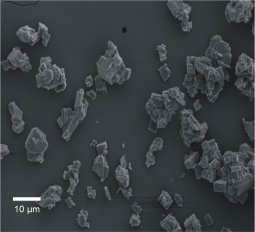 Figure 5 Scanning electron micrograph of a metal–organic framework (MOF) based on cyclodextrin and potassium. Magnified 300×.