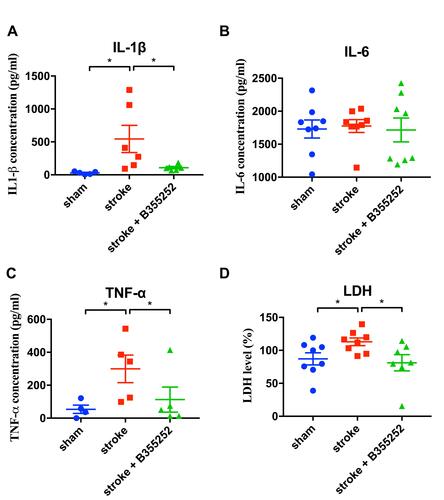 Figure 7 B355252 treatment decreases the levels of inflammatory cytokines in the brain of ischemia rats. ELISA assessments were conducted at PSD 3 for assessment of (A) IL-1β, (B) IL-6, (C) TNF-α, and (D) LDH. N=6 per group, * p< 0.05 by one-way ANOVA.