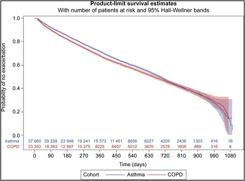 Figure 1. Kaplan-Meier estimates of the probability of no exacerbation in patients with asthma or chronic obstructive pulmonary disease (COPD) only and ≥2 visits. The number of patients at risk is displayed for each time point. Patients with asthma and COPD were not included in the analysis.