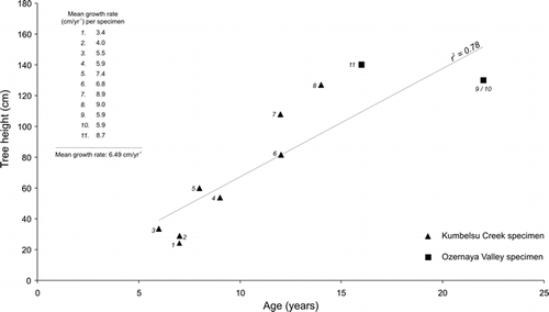 Figure 4 Plot of tree height/age correlations obtained from 11 specimens in Kumbelsu Creek and Ozernaya valley; also shown are mean growth rates per specimen; overall mean growth rate; line of best fit derived from regression of tree height and age, and r 2 value.