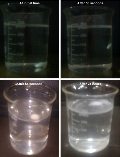 Figure 1 In vitro buoyancy studies.