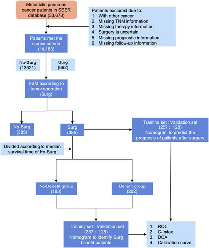 Figure 1. Flowchart of this study. PSM: propensity score matching; Surg: surgery; ROC: receiver operating characteristic; DCA: decision curve analysis.