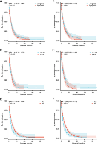 Figure 1 Kaplan-Meier method estimated OS and CSS in duodenal adenocarcinoma with liver metastasis stratified by tumor grade, size, and organ metastasis (bone/brain/lung). (A) OS stratified by tumor grade; (B) CSS stratified by tumor grade; (C) OS stratified by size; (D) CSS stratified by size; (E) OS stratified by organ metastasis (bone/brain/lung); (F) CSS stratified by organ metastasis (bone/brain/lung).