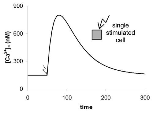 Figure 1 A single cell response after stimulation. The cell was stimulated at t = 50. A timescale of 1: = 0.1 sec gives a realistic estimate of the real kinetic in a living plant. The parameters according to EquationEq. 1[Ca2+]c(t)=[Ca2+]c0+a1⋅(1−exp⁡(−tτE))+a2⋅(1−exp⁡(−tτR)) for this [Ca2+]c-spike are: Table 1.