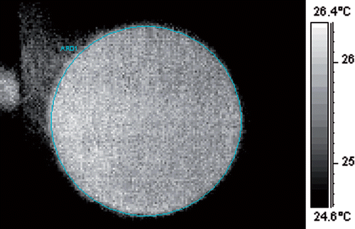 Figure 3. Thermogram with an initial temperature field.