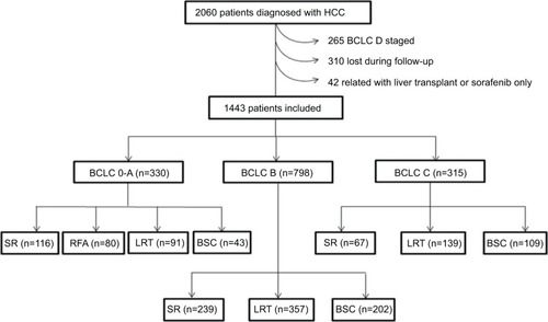 Figure 1 Study flowchart and inclusion of participants.Abbreviations: BCLC, Barcelona Clinic Liver Cancer; BSC, best supportive care; HCC, hepatocellular carcinoma; LRT, locoregional therapy; RFA, radiofrequency ablation; SR, surgical resection.