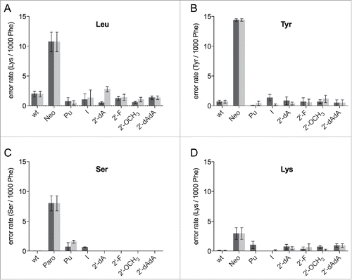 Figure 4. Misincorporations of various amino acids in a poly(U) based translation system. Ribosomes were reconstituted harboring modifications at position 1492 (dark gray) and 1493 (light gray) of the 16S rRNA. The error rates per ribosome per 1000 phenylalanines (Phe) translated were determined for leucine (A), tyrosine (B), serine (C), and lysine (D), respectively. The antibiotics neomycin (Neo) or paromomycin (Paro) served as positive controls. The mean ± SEM of at least 3 independent experiments are shown.