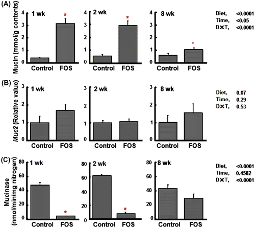 Fig. 5. Cecal mucin concentrations (per g wet cecal contents) (A), the gene expression of Muc 2 (relative value) (B), and mucinase activities (per min per mg nitrogen) (C) in rats fed the control diet or a diet containing FOS at 60 g/kg diet for 1, 2, or 8 wk (expt 2).Notes: Data are expressed as the mean ± SE, n = 6 except for those of mucinase activities (n = 12). Split plot design ANOVA was used to assess the effects of diet, time of exposure, and interactions between diet and time. Individual means at each time point were compared by Student-t test (*p < 0.05) to assess the effects of diet.