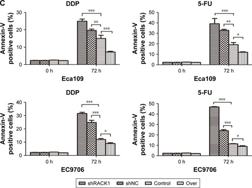 Figure 4 RACK1 enhanced the chemosensitivity of ESCC in vitro.