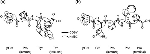 Figure 2. The 1H-1H COSY and HMBC correlations of Mw486 (a) and Mw598 (b). For clarity, the configurations of the amino acids are omitted.