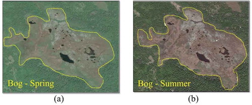 Figure 5. A bog in (a) spring and (b) summer. Vegetation is green in summer and may be brown or absent in the early spring, fall, and winter. This illustrates how wetlands contain different spectral characteristics in satellite images at different times of the year and, thus, the importance of using multi-temporal data increases wetland classification accuracy.