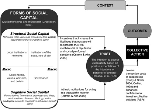 Figure 1. A conceptual model showing how forms of social capital generate collective action, viewing trust as an intermediate variable.Note: A problematic aspect of social capital research has been the delineation of the sources, forms, and consequences of social capital (see Claridge Citation2004 for a review). Here, we adopt the perspective offered by Ostrom & Ahn (Citation2009) in which trust is an intermediate variable.
