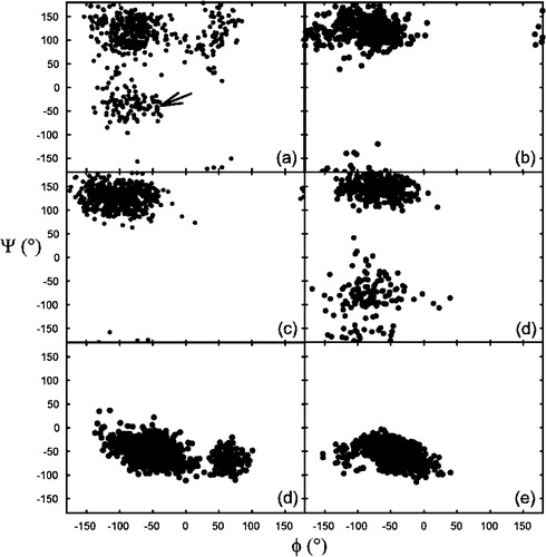 Figure 6.  Ramachandran plot of certain amino acid residues in models A and C. (a) The penultimate lysine residue in model C, between 0 and 1 ns of simulation. This residue was initially (arrow), but rapidly developed a non-helical conformation. (b) The same residue between 3–4 ns of simulation. There is no indication of helicity within this time frame. (c) The penultimate residue (Lys-13) in model A between 0 and 1 ns. As can be observed no helicity is present in the starting structure. (d) The same residue between 3 and 4 ns of simulation. The conformation is still predominantly non-helical, although there are minor fluctuations in phi/psi these are still outside the α-helical region of the Ramachandran plot. (d) A complete 0–4 ns Ramachandran plot of a residue from the α-helical region of the peptide (Ile-3) in model C. The conformation remains predominantly helical throughout the 4 ns simulation period. (e) The corresponding isoleucine residue in model A, which also maintains its predominantly helical conformation throughout the 4 ns of simulation.