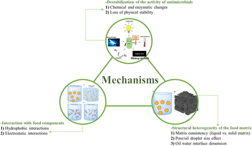 Figure 2. The proposed mechanisms for the reduced antimicrobial activities of antimicrobial agents in the food matrix. Three main aspects, including destabilization of the activity of antimicrobials, interaction with food components, and structural heterogeneity of the food matrix, may reduce the activity of antimicrobials in the food matrix. The potential factors/interactions involved include chemical and enzymatic changes, loss of physical stability, hydrophobic and electrostatic interactions, food matrix consistency, food components droplets size, and oil-water interface dimension, etc.