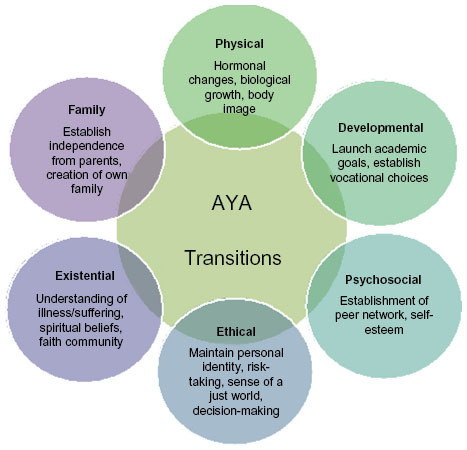 Figure 2 Supporting quality of life at end of life: developmental considerations.