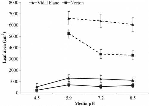 FIGURE 2 Leaf area of ‘Vidal blanc’ and ‘Norton’ grown at varying media pH levels after 40 days (continuous line) and 94 days (dotted line) of growth. Values are means ± SE (n = 6).
